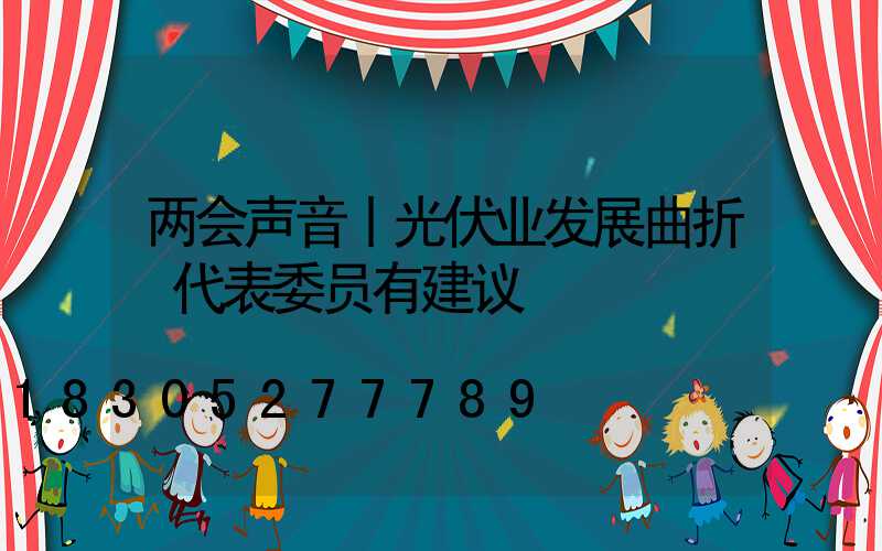 两会声音丨光伏业发展曲折 代表委员有建议